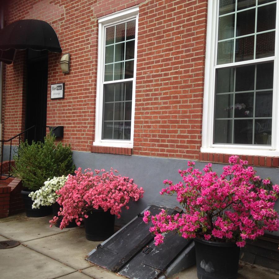 Blancnoir Bed & Breakfast Baltimore Exterior foto
